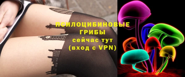 ПСИЛОЦИБИНОВЫЕ ГРИБЫ Алзамай
