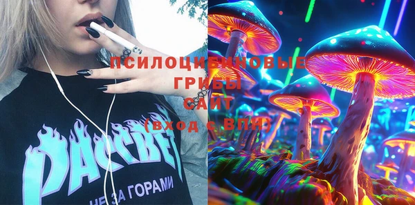ПСИЛОЦИБИНОВЫЕ ГРИБЫ Алзамай