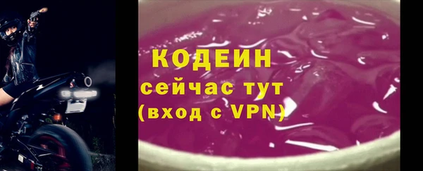 сатива Волоколамск