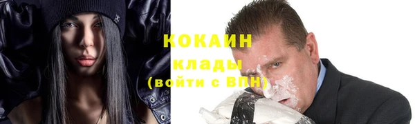 хмурый Верея