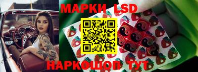spice Чебоксары