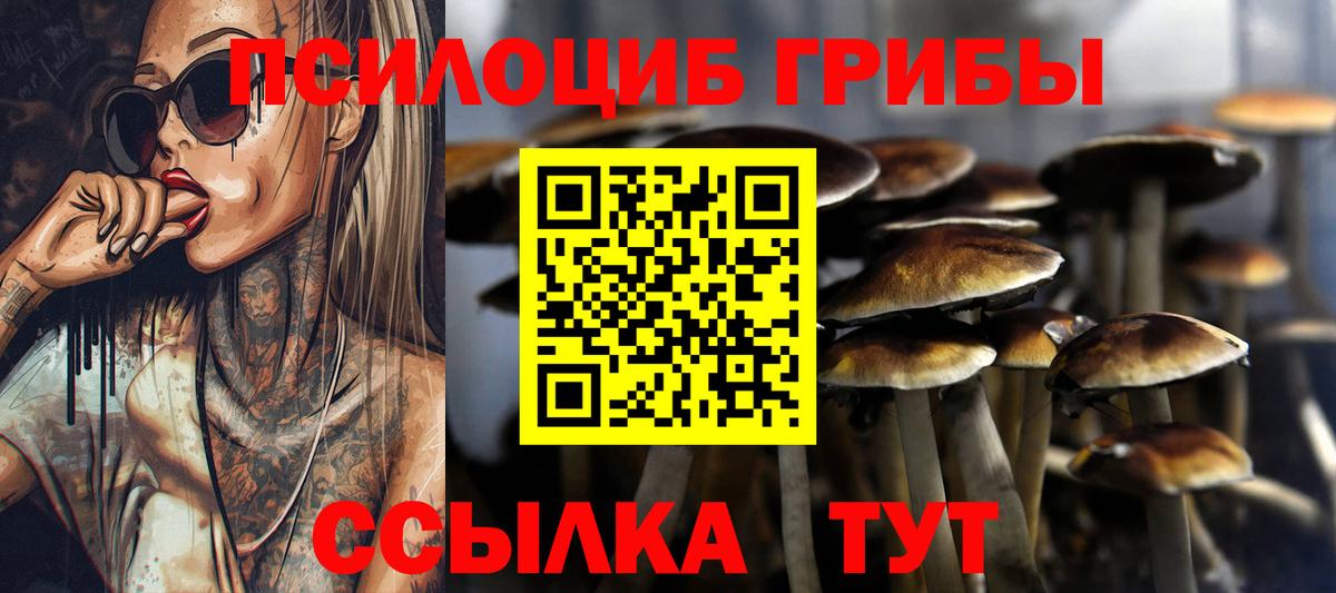 Североуральск  Галлюциногенные грибы GOLDEN TEACHER  Вход с VPN  Галлюциногенные грибы мицелий 